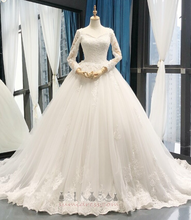 A-Line V-Neck Lace Overlay Cathedral Train Long Sleeves Tulle Wedding Dress