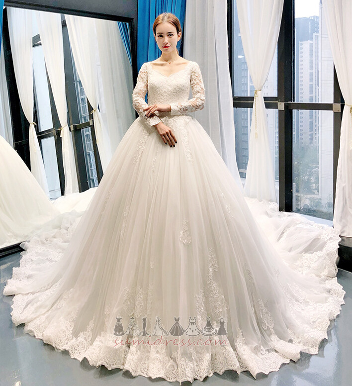 A-Line V-Neck Lace Overlay Cathedral Train Long Sleeves Tulle Wedding Dress