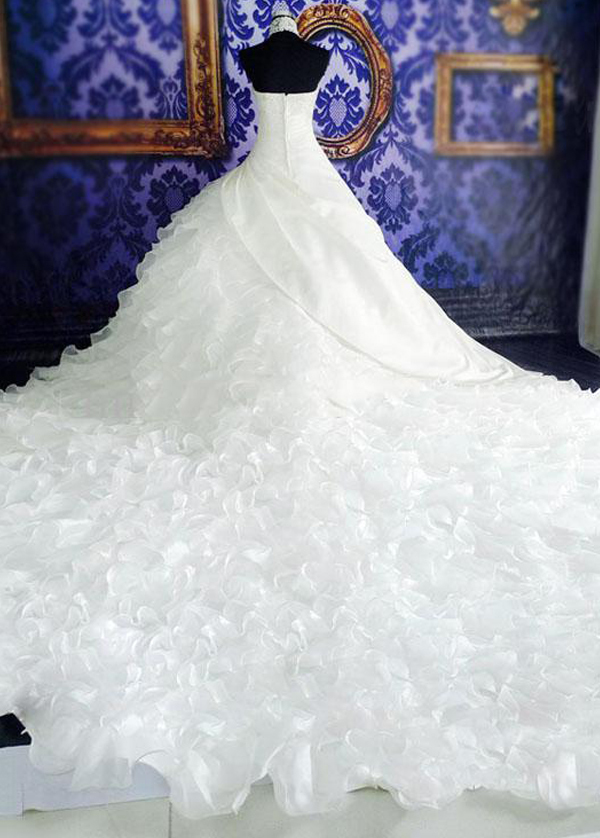 аплікації блискавка вгору формальний принцеса Церква висока шия Весільна сукня