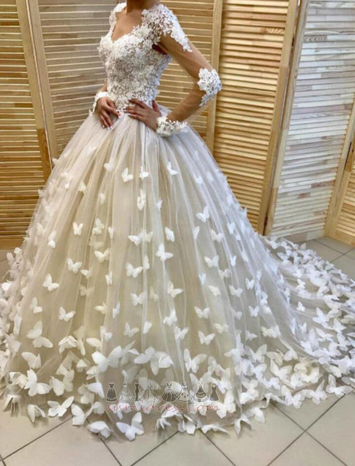 Applique Spring V-Neck Natural Waist Sweep Train Illusion Sleeves Wedding Dress