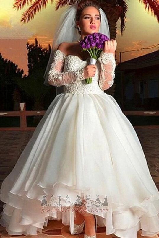 Asymmetrical Off Shoulder Apple Tulle Court Train Natural Waist Wedding Dress