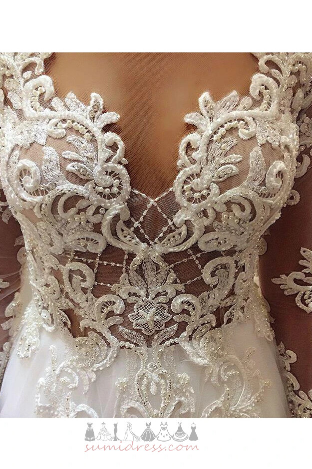 Bíróság vonat V-nyakú Vonalú Molett Csipke Overlay Appliqués Esküvői ruha