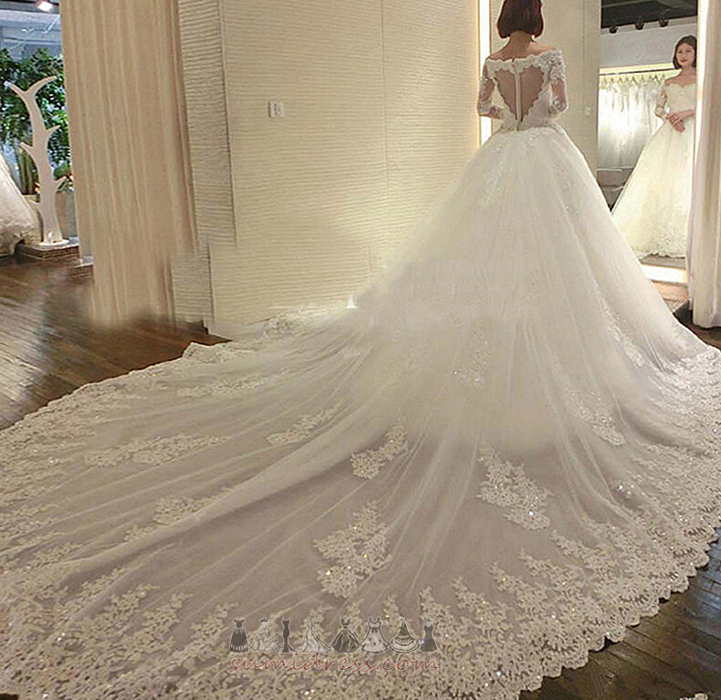Cathedral Train Luxurious Beach Illusion Sleeves Natural Waist Wedding Dress