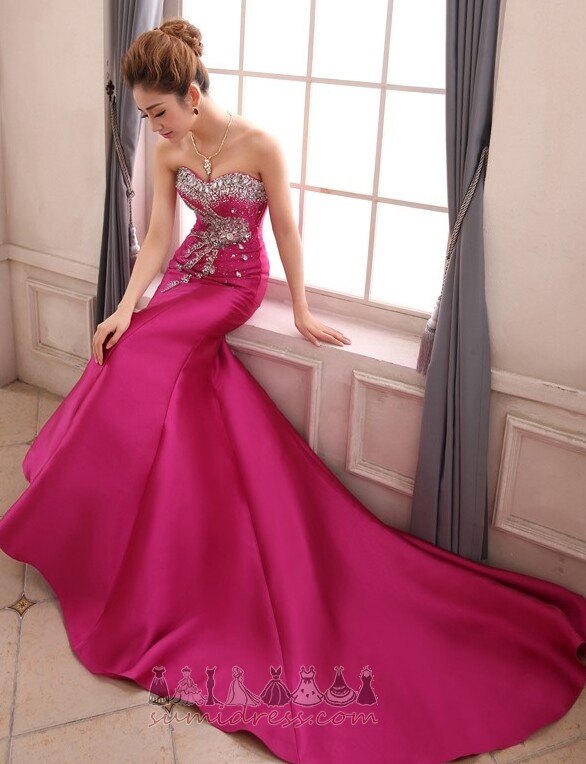 Draga Zamah vlak Dugo Pasti Bez rukava Jednostavan Večernje haljina