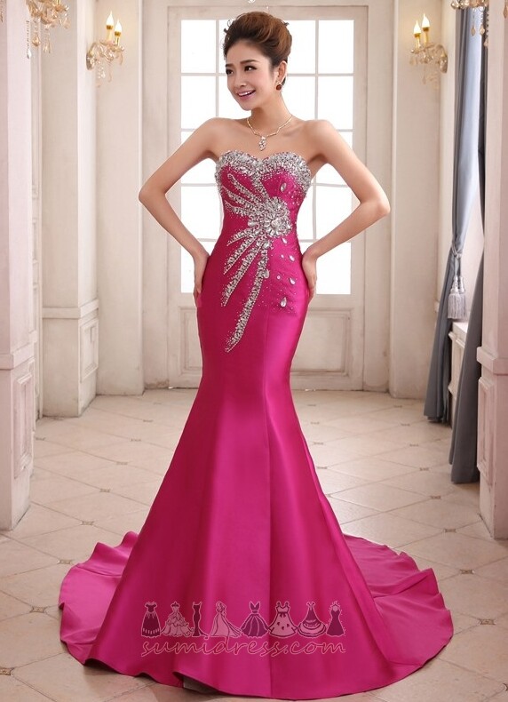 Draga Zamah vlak Dugo Pasti Bez rukava Jednostavan Večernje haljina