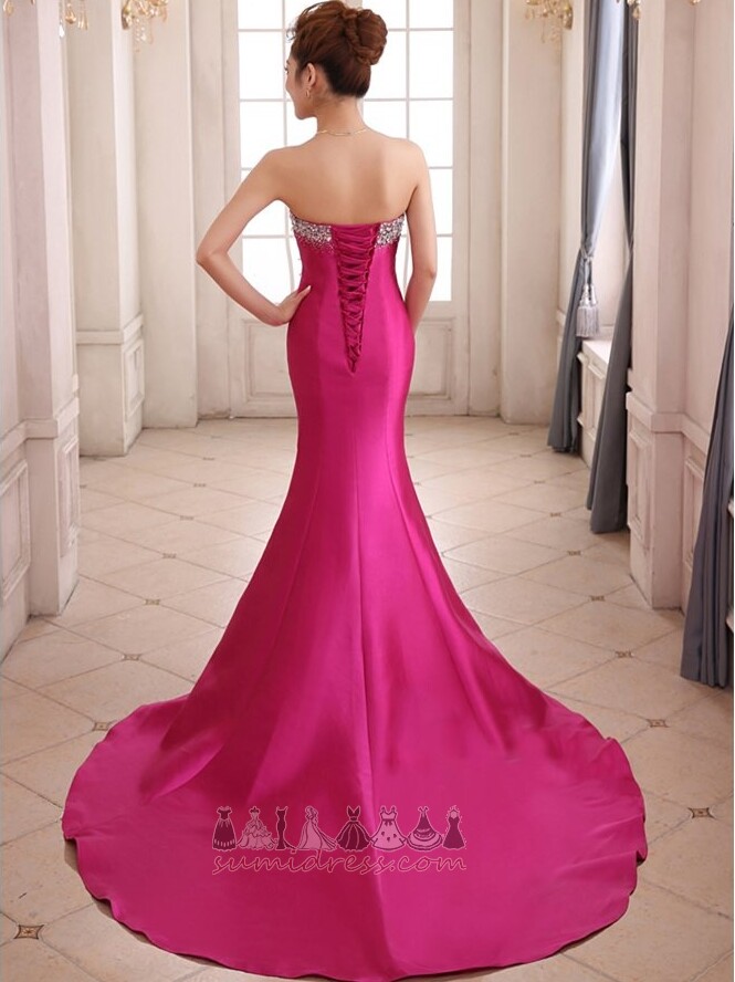 Draga Zamah vlak Dugo Pasti Bez rukava Jednostavan Večernje haljina