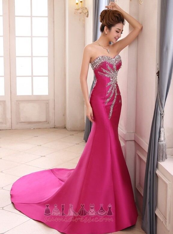 Draga Zamah vlak Dugo Pasti Bez rukava Jednostavan Večernje haljina