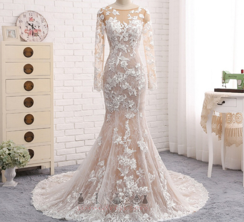 Elegant Applique Illusion Sleeves Long Natural Waist Fall Wedding gown