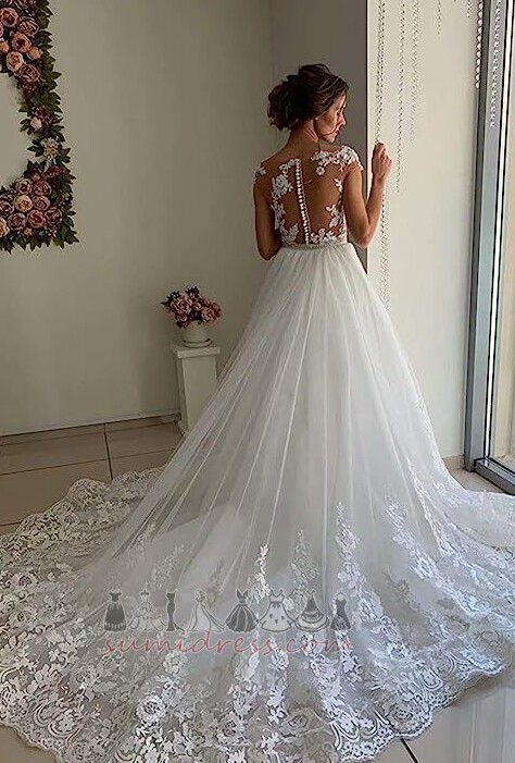 Elegant Natural Waist Winter Applique Sheer Back Long Wedding Dress