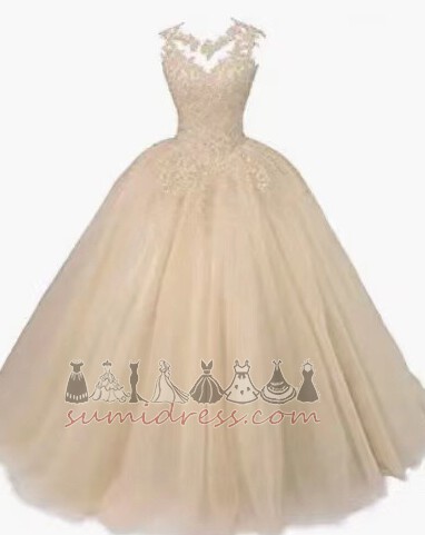 Fall Sleeveless Natural Waist Voile Jewel A-Line Prom gown
