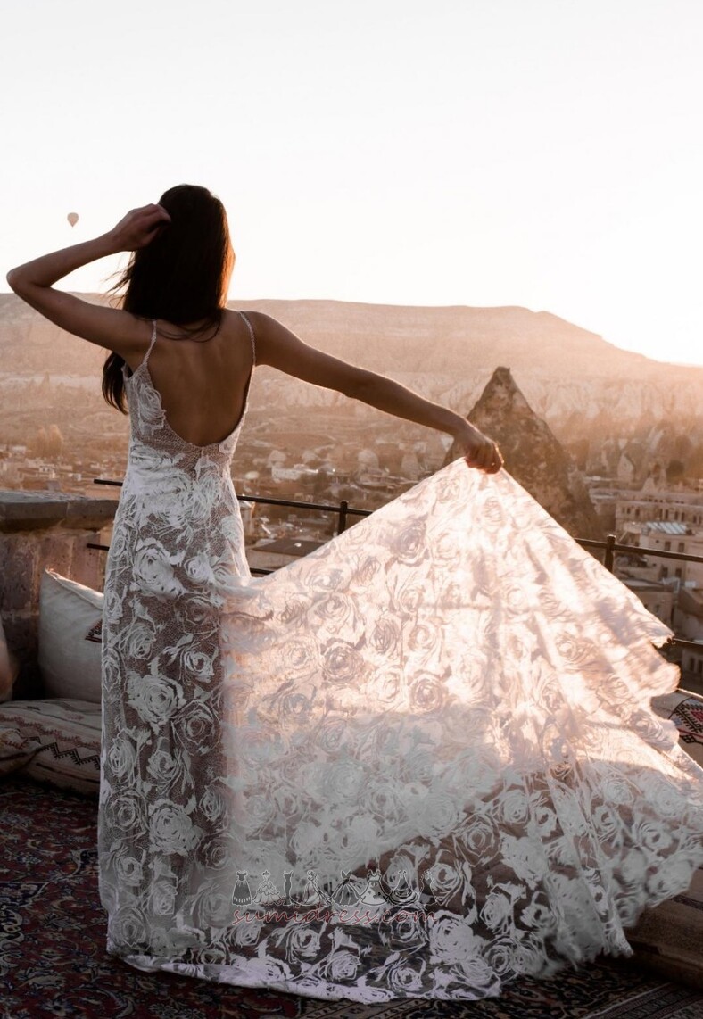 Floor Length Sleeveless Deep v-Neck A-Line Lace Lace Wedding Dress