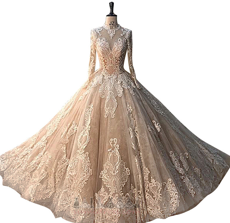 формальний суд поїзд довгі рукави тюль середній Повернутися Мереживо Overlay Весільна сукня