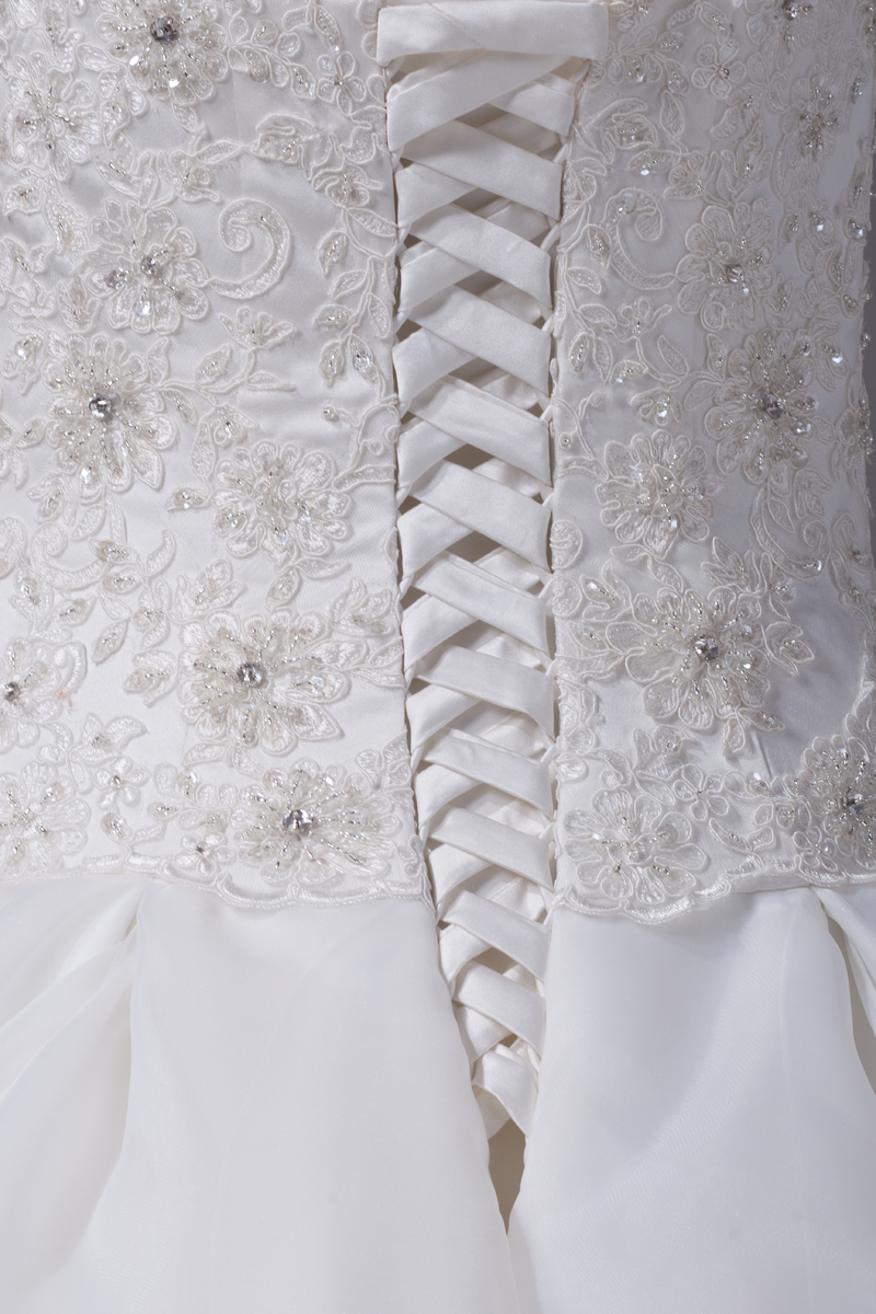 Hall Floor Length Medium Fall Organza Strapless Wedding Dress