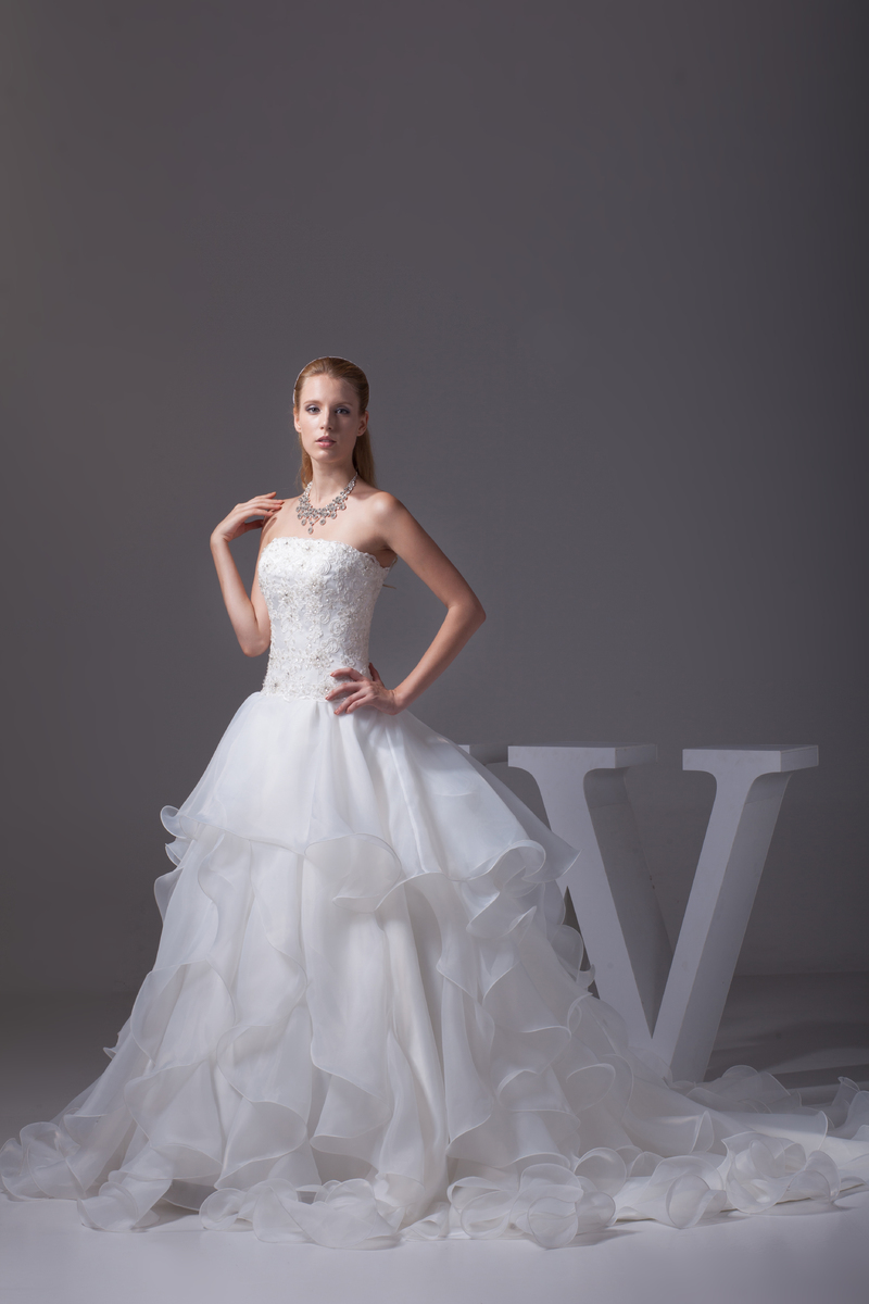 Hall Floor Length Medium Fall Organza Strapless Wedding Dress