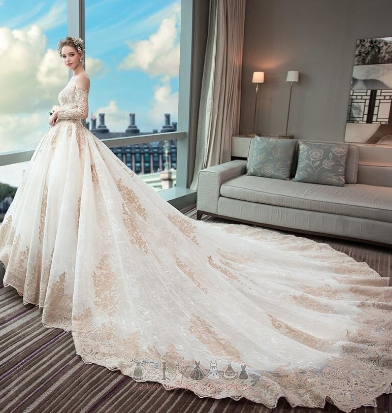 Hall Monarch Train Formal Natural Waist Applique Long Wedding gown