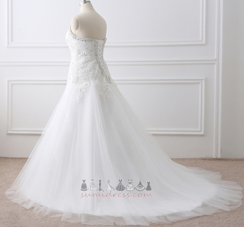 Hall Tulle Lace Princess Winter Plus Size Wedding Dress