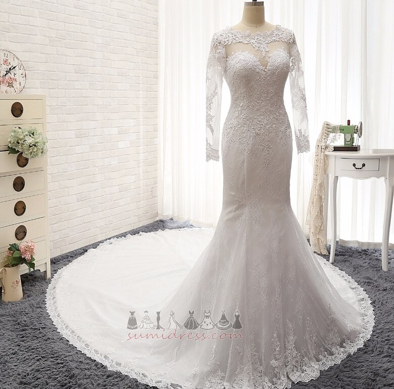 Illusion Sleeves Elegant Long Natural Waist Long Sleeves Lace Wedding Dress
