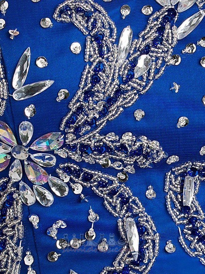 Kristal Göster / Performans Tül Doğal belden Ters üçgen Bir çizgi Quinceanera elbise