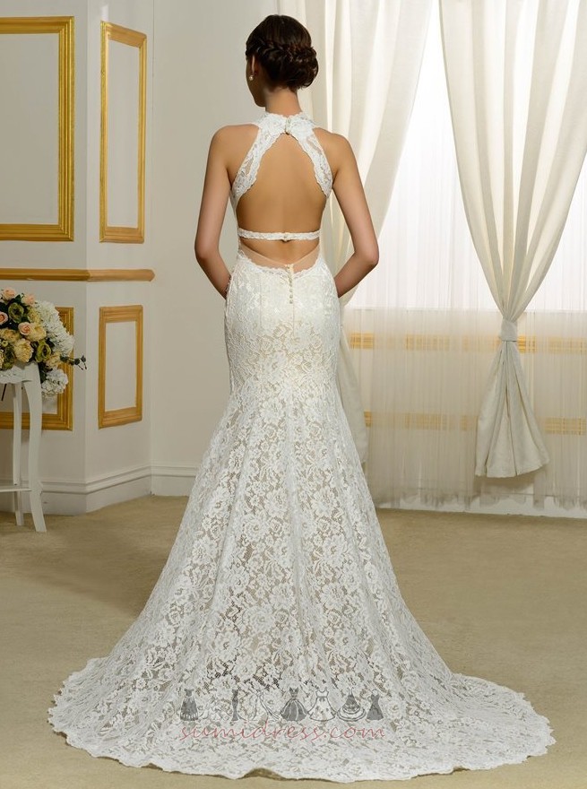 Lace Backless Elegant Floor Length Sheath Natural Waist Wedding gown