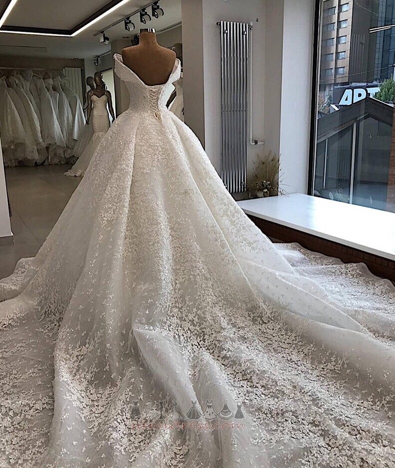 Lace Overlay Sleeveless Cathedral Train Sparkle Outdoor Organza Wedding Dress