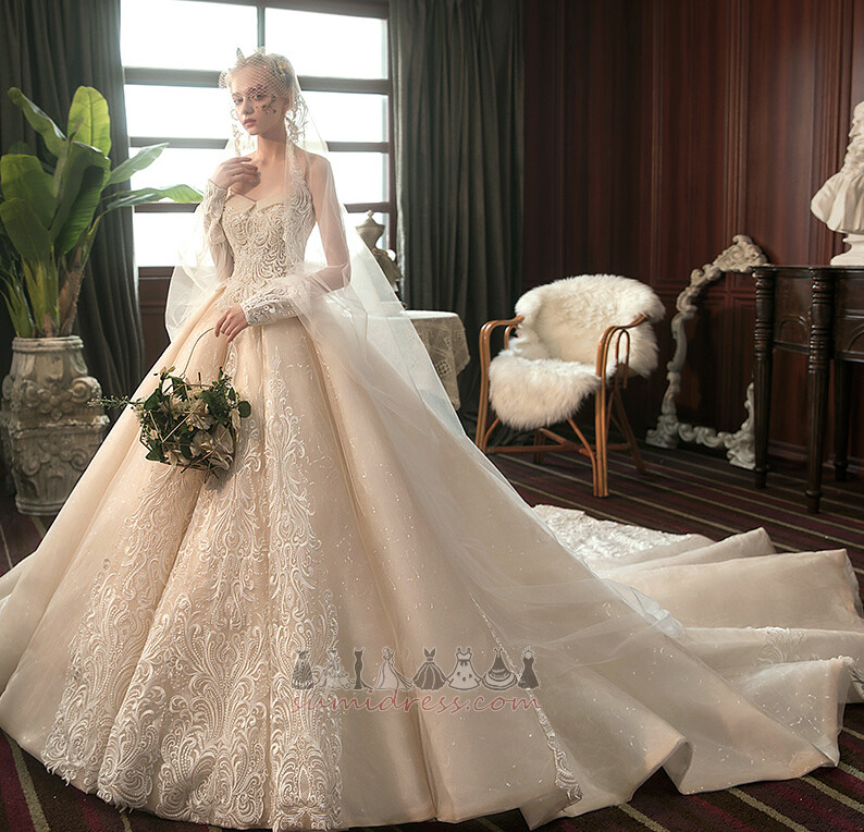 Lace-up Applique Royal Train Winter Hemline Long A-Line Wedding Dress
