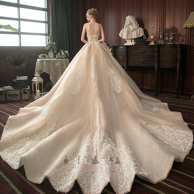 Lace-up Applique Royal Train Winter Hemline Long A-Line Wedding Dress