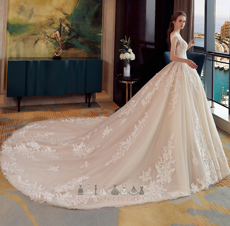 Lace-up Royal Train Spring Natural Waist Hall Applique Wedding Dress