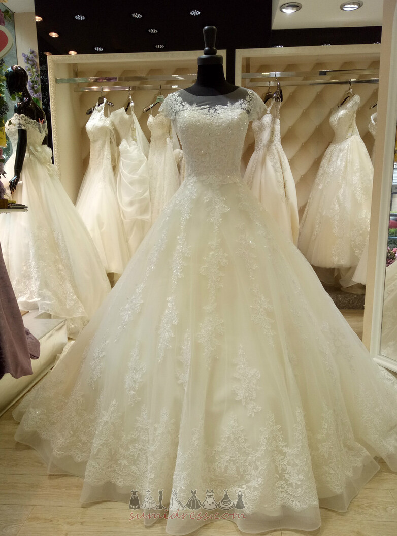 Long Natural Waist Organza Spring Capped Sleeves Binding Wedding Dress