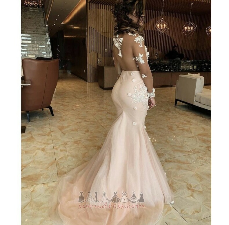 Long Sleeves V-Neck Natural Waist Illusion Sleeves Long Sweep Train Evening gown