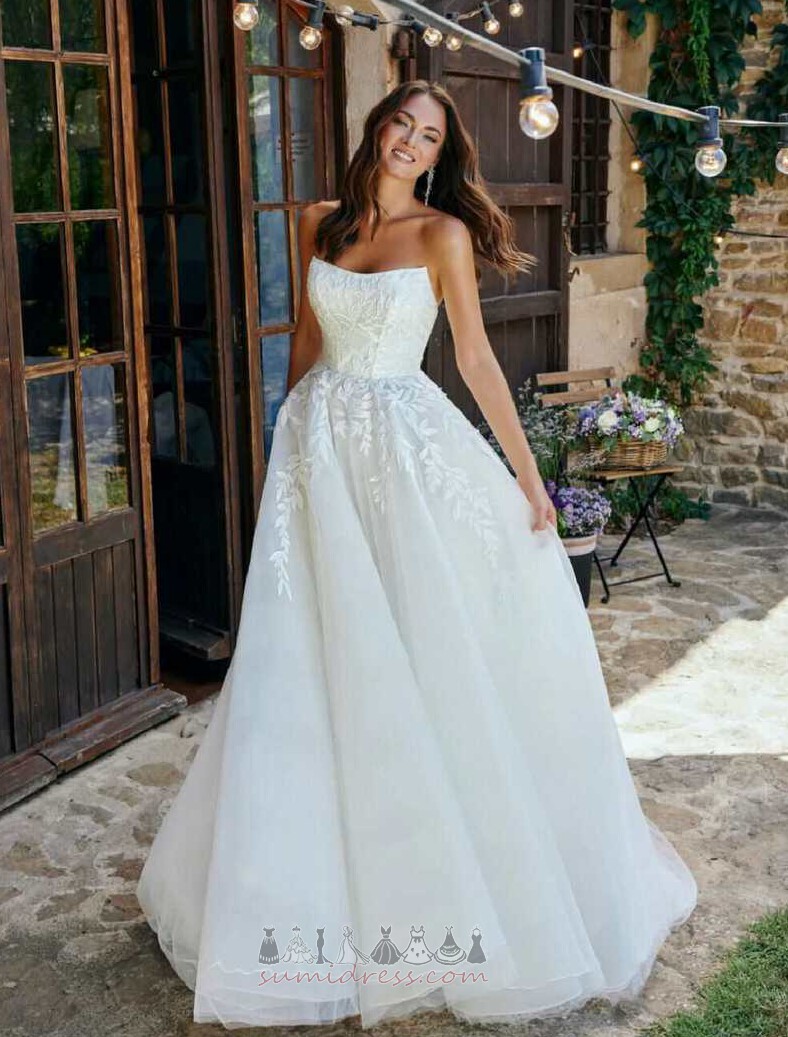 Natural Waist A-Line Tulle Moderne Strapless Beach Wedding Dress