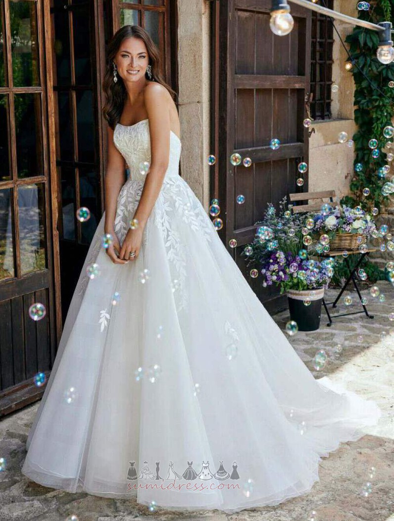 Natural Waist A-Line Tulle Moderne Strapless Beach Wedding Dress