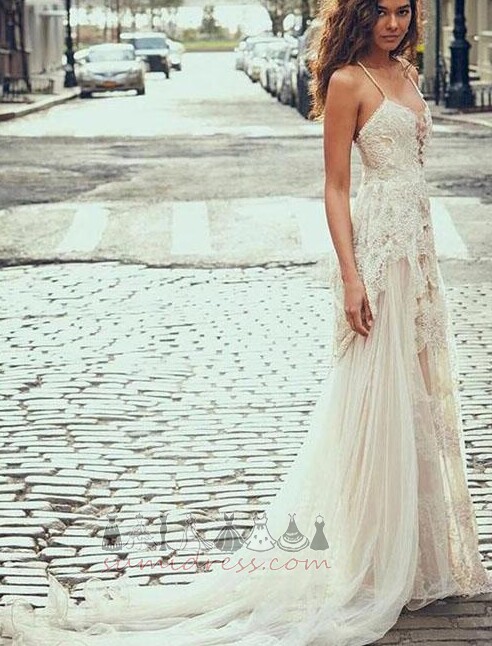 Natural Waist Floor Length Lace A-Line Inverted Triangle Zipper Up Wedding Dress
