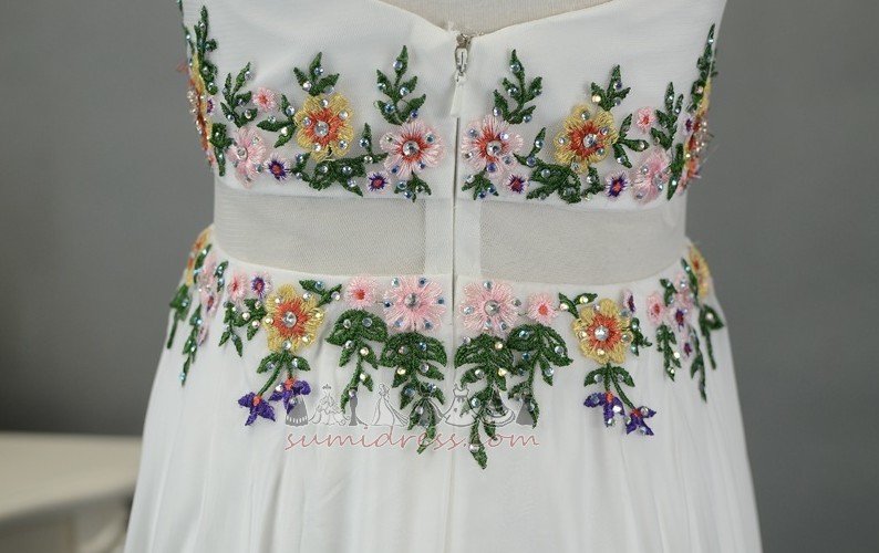 Natural Waist Lace Overlay Elegant Floor Length Zipper Up Chiffon Evening Dress