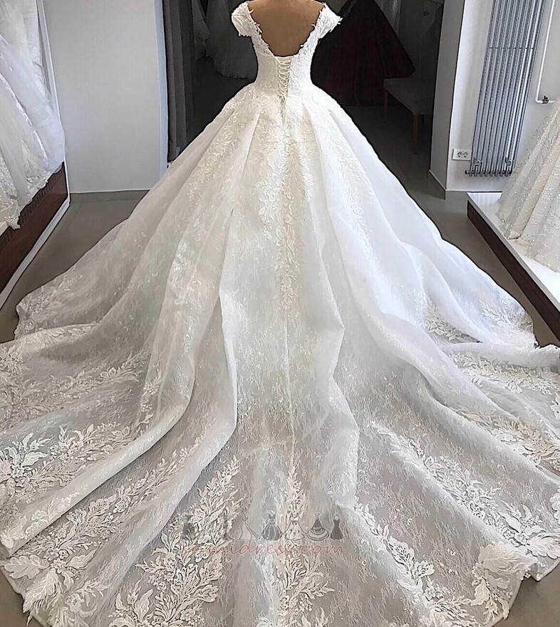 Natural Waist Outdoor A Line T-shirt Luxurious Lace Wedding Dress