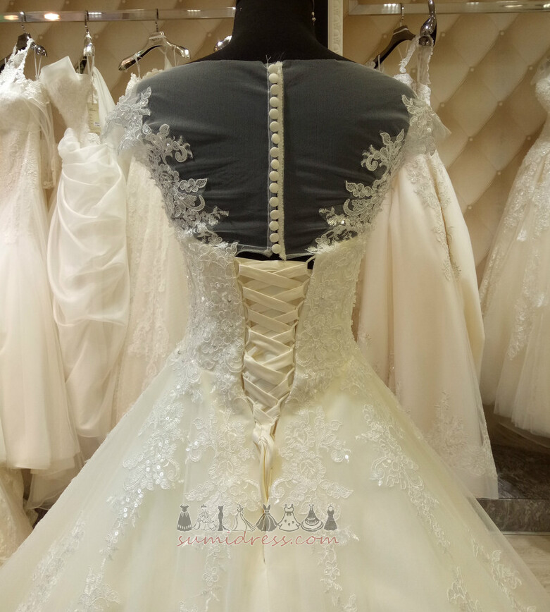 νυφικό, Νυφικά φόρεμα Οργάντζα Φυσικό Προσαρμοσμένες μανίκια Άνοιξη Δαντέλα-επάνω Μακρύς