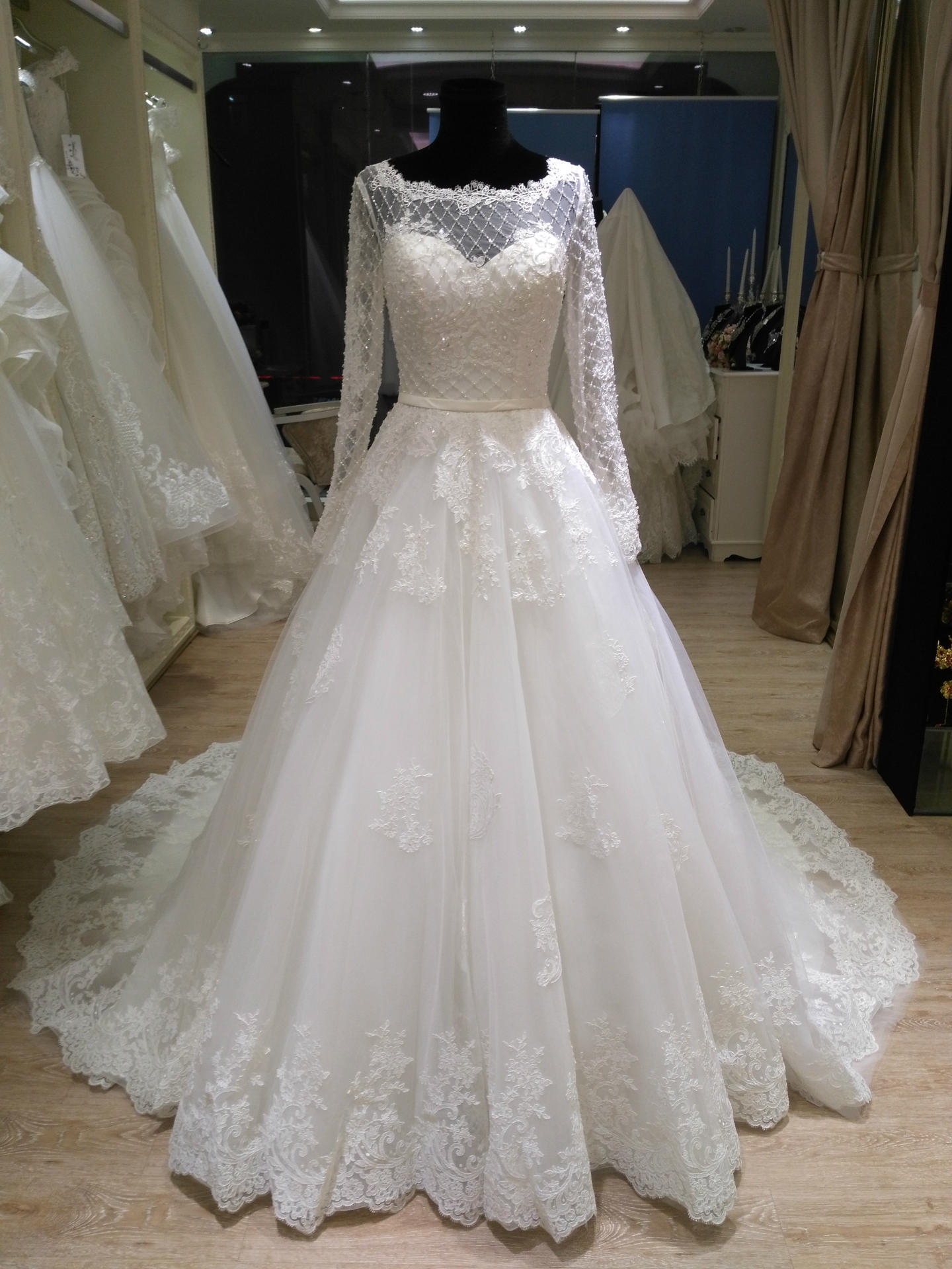 Princess Bateau Medium Zipper Up Lace Illusion Sleeves Wedding Dress