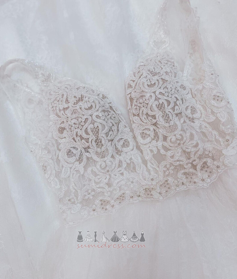 природні Талія Мереживо Overlay лінія V-подібним вирізом розгортки поїзд Весільна сукня