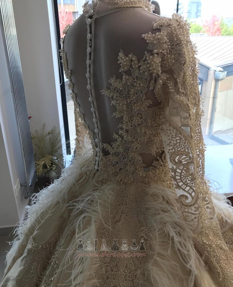 Sheer Back Long Sleeves Pear Cathedral Train Illusion Sleeves Wedding Dress