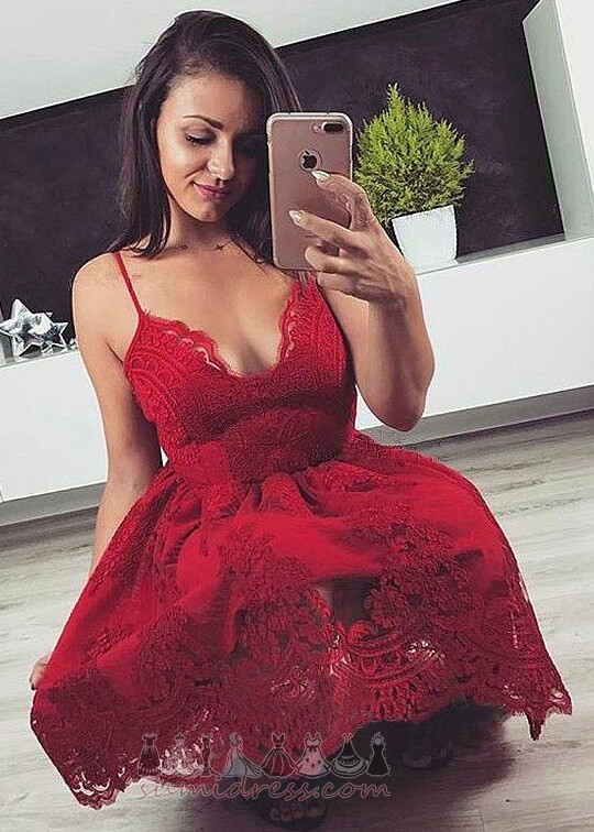 Short Winter Sexy Zipper Up Lace Lace Cocktail Dress