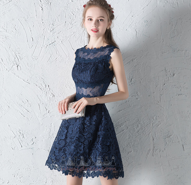 Sleeveless Lace Overlay Natural Waist Knee Length Zipper Up Informal Evening Dress