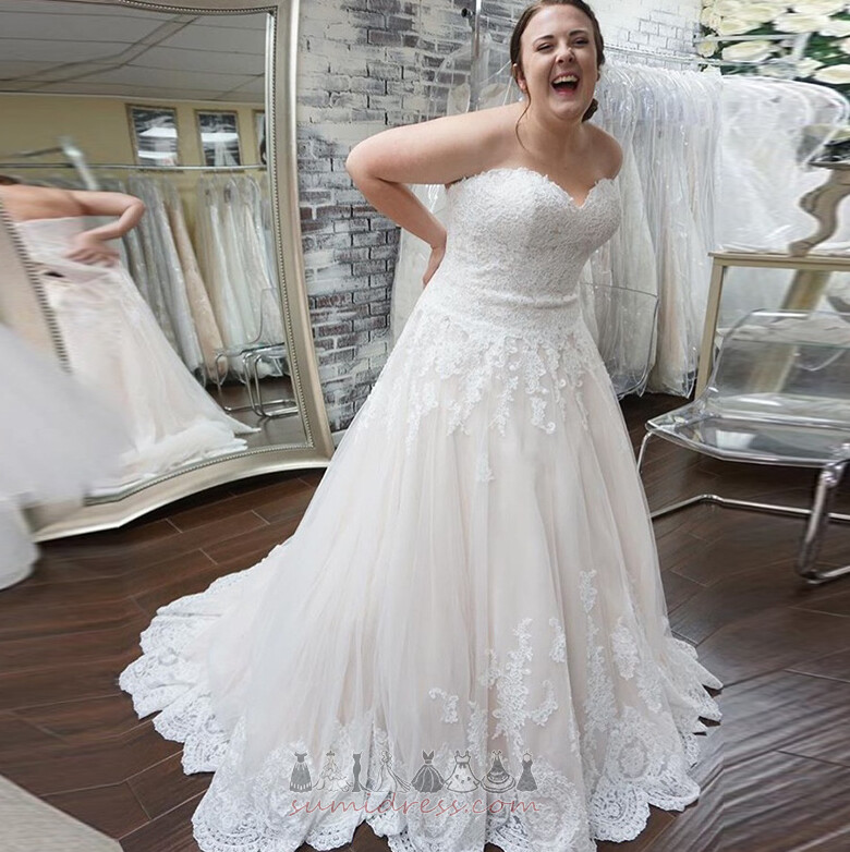 Sleeveless Long Zipper Up Sweetheart Hourglass Natural Waist Wedding Dress