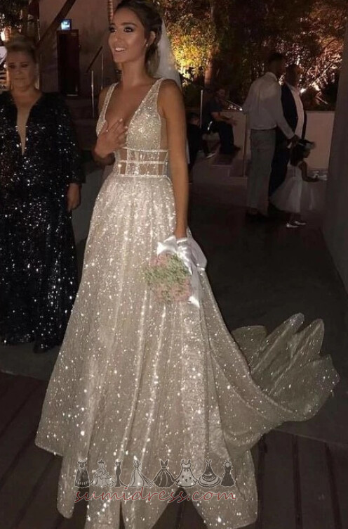 Sweep Train Backless Long Sexy Tulle Summer Wedding Dress