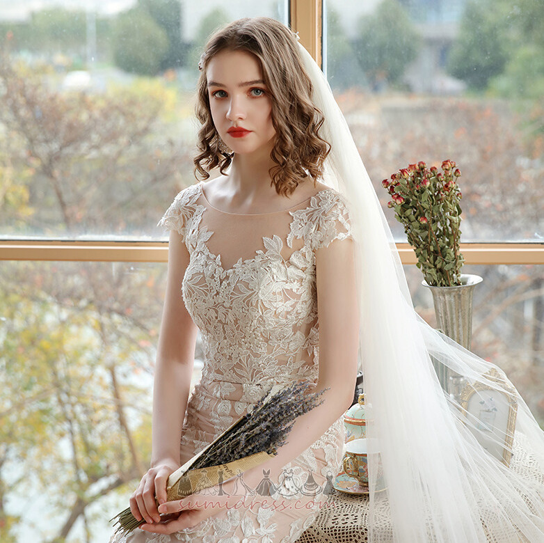 Sweep Train Elegant Tulle Natural Waist Applique Short Sleeves Wedding Dress