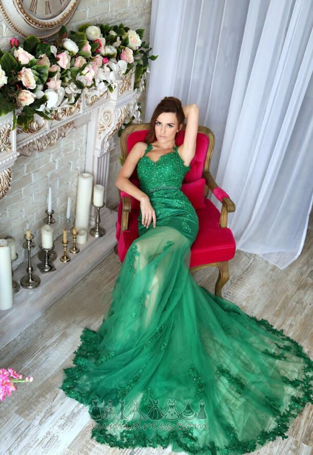 Sweep Train Sexy Natural Waist Sleeveless Off Shoulder Fall Evening gown