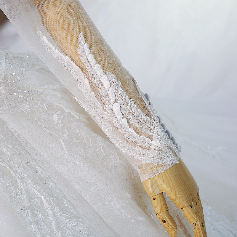 V-Neck Lace-up Royal Train Applique Natural Waist A-Line Wedding Dress