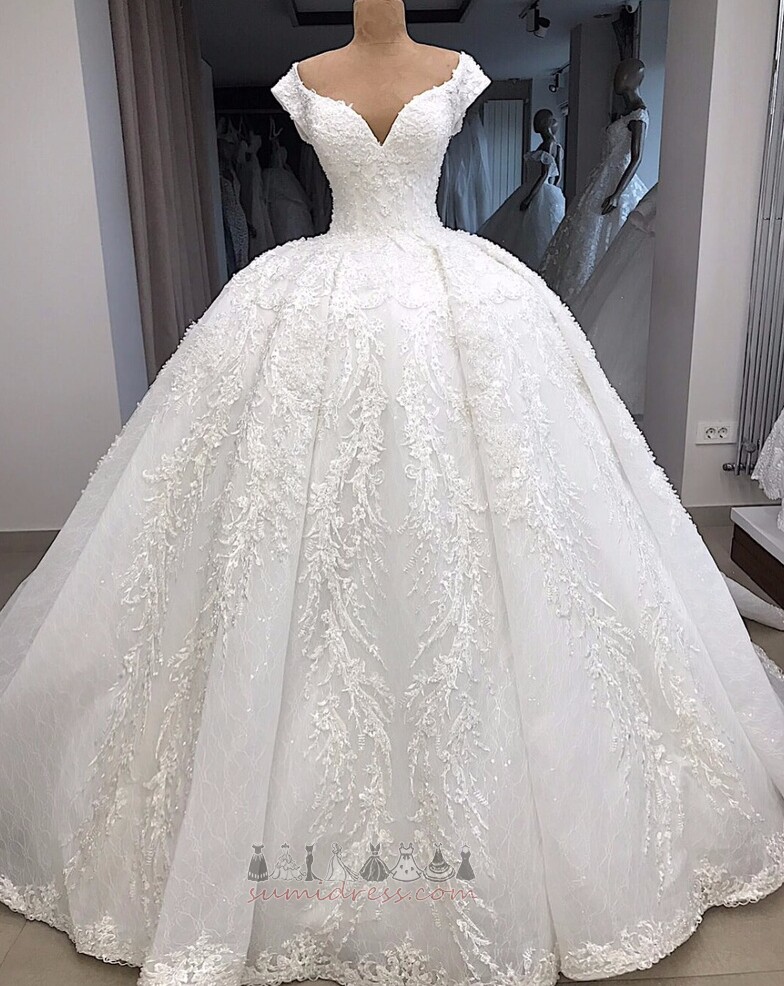 Zipper Cathedral Train Long Natural Waist Tulle V-Neck Wedding Dress