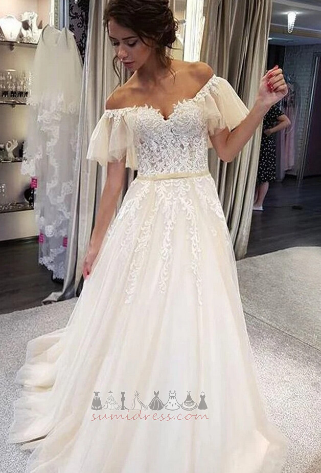 Zipper Sleeveless Natural Waist Medium Elegant A-Line Wedding Dress